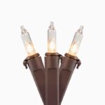 Mini Christmas Lights Clear