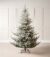 Christmas Tree - Ontario premium - Image 4